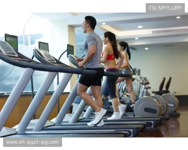 背部健身器材：有效锻炼背部肌肉的健身器材推荐